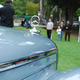Illustration for article titled Someones Gonna Get Fired: LeMons Cars Invited To Hillsborough Concours dElegance